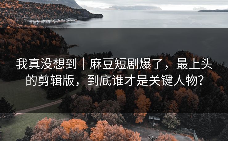 我真没想到｜麻豆短剧爆了，最上头的剪辑版，到底谁才是关键人物？
