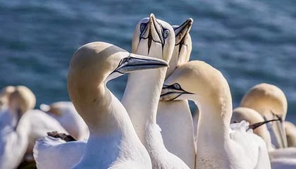 51爆料深度揭秘:八卦风波背后,大V在酒吧后巷的角色异常令人意外