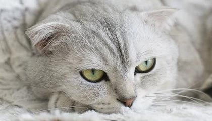 明星在深夜遭遇秘闻 窒息,黑料全网炸锅,详情速看