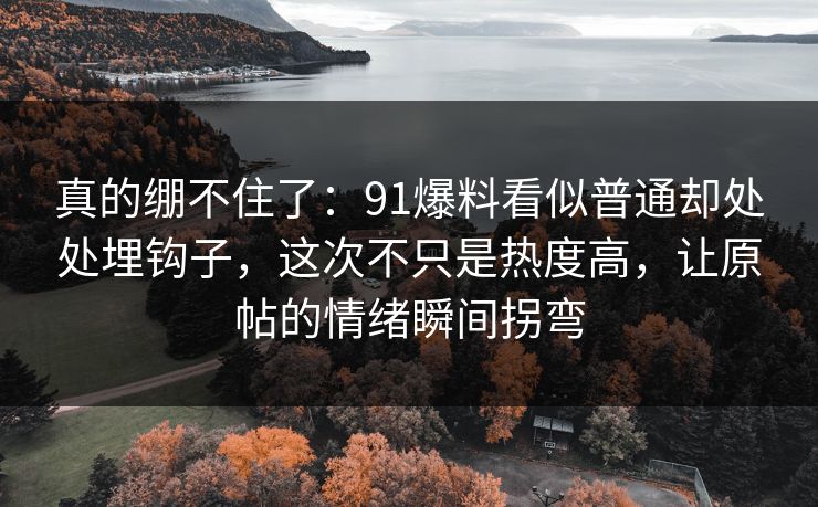 真的绷不住了:91爆料看似普通却处处埋钩子,这次不只是热度高,让原帖的情绪瞬间拐弯