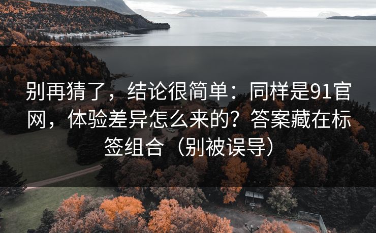 别再猜了,结论很简单:同样是91官网,体验差异怎么来的?答案藏在标签组合(别被误导) 别再猜了,结论很简单:同样是91官网,体验差异怎么来的?答案藏在标签组合(别被误导)